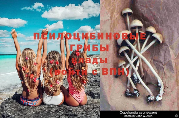 COCAINE Армянск