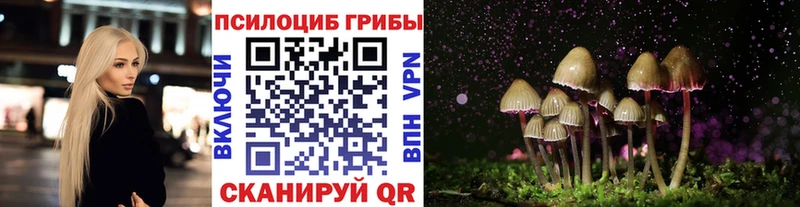 наркотики  Чаплыгин  Псилоцибиновые грибы ЛСД 